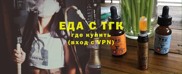 индика Алексин