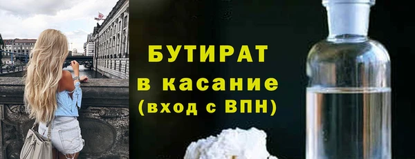 индика Алексин