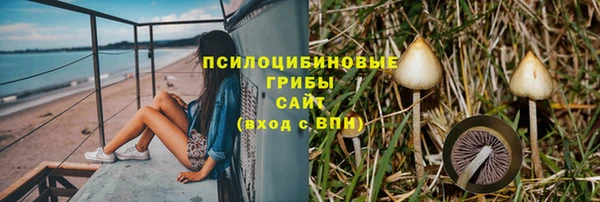 ешки Алексеевка