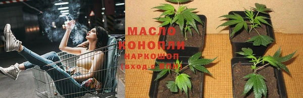 дмт Алзамай