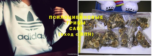 индика Алексин