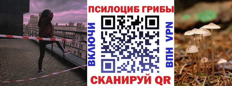 Псилоцибиновые грибы MAGIC MUSHROOMS  kraken зеркало  darknet клад  Алексеевка 