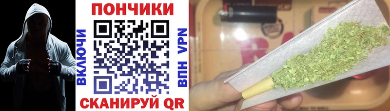 Конопля марихуана цена Алексеевка